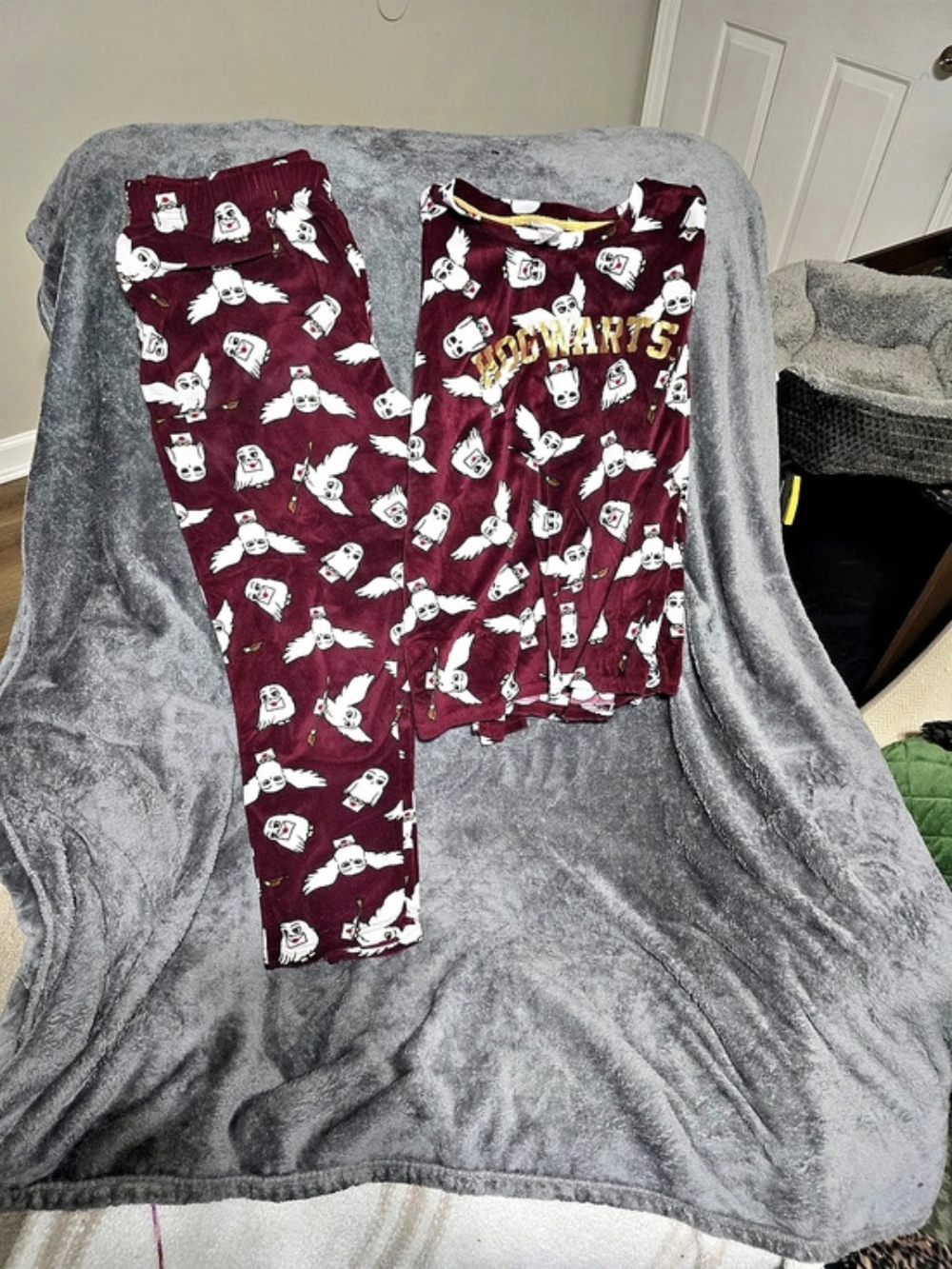 Harry Potter Hogwarts Hedwig Velour Pajama Set Burgundy & White